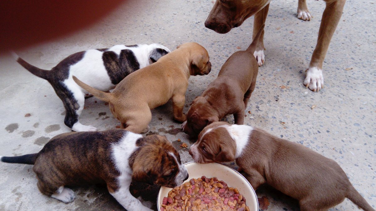 Josué (@josu70780929) on Twitter photo 