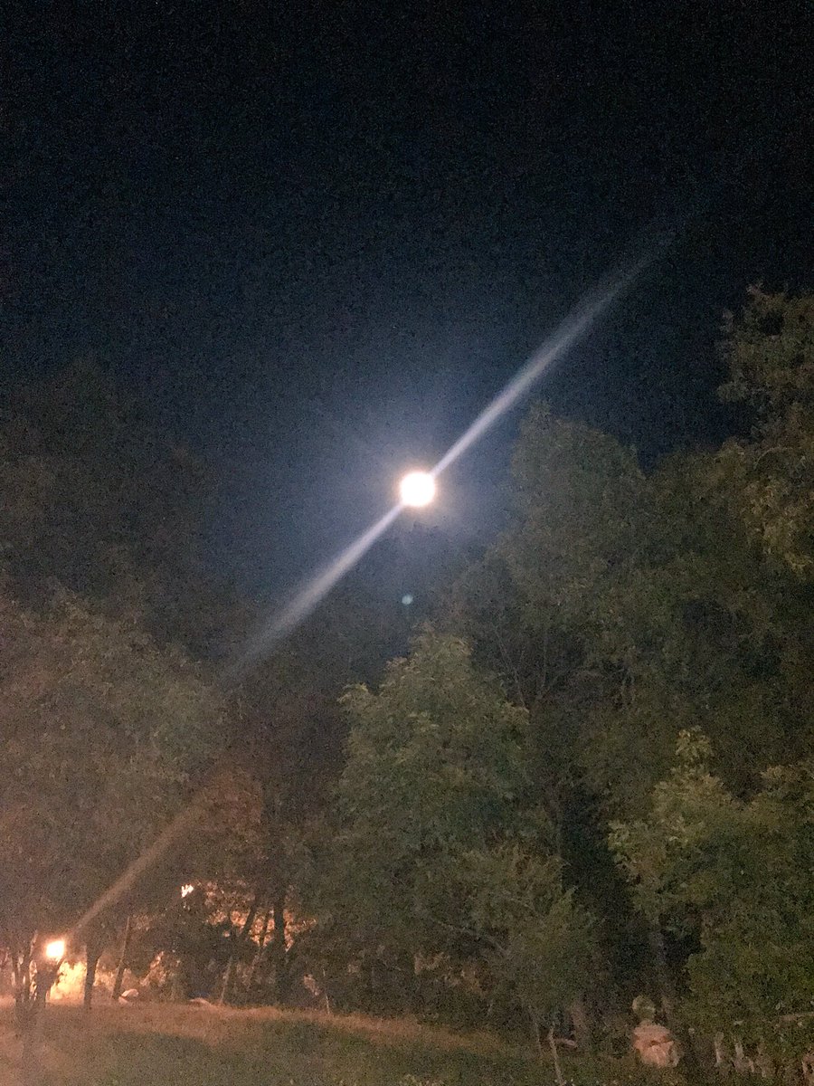 alinanavarrete4's tweet photo. Hasta la luna conspiró para cerrar con broche de oro. Bien agradecida 🙏🏼💥. #4 #mabday #fullmoon https://t.co/HhIaevtZHm