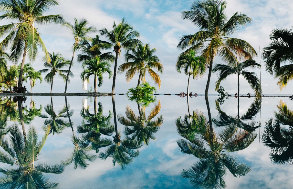 TI_EU's tweet photo. #ParadisePapers: In the digital age #transparency is inevitable. It's time for EU action on secrecy https://t.co/sKYObiKrrF https://t.co/gWEkOeUHT8
