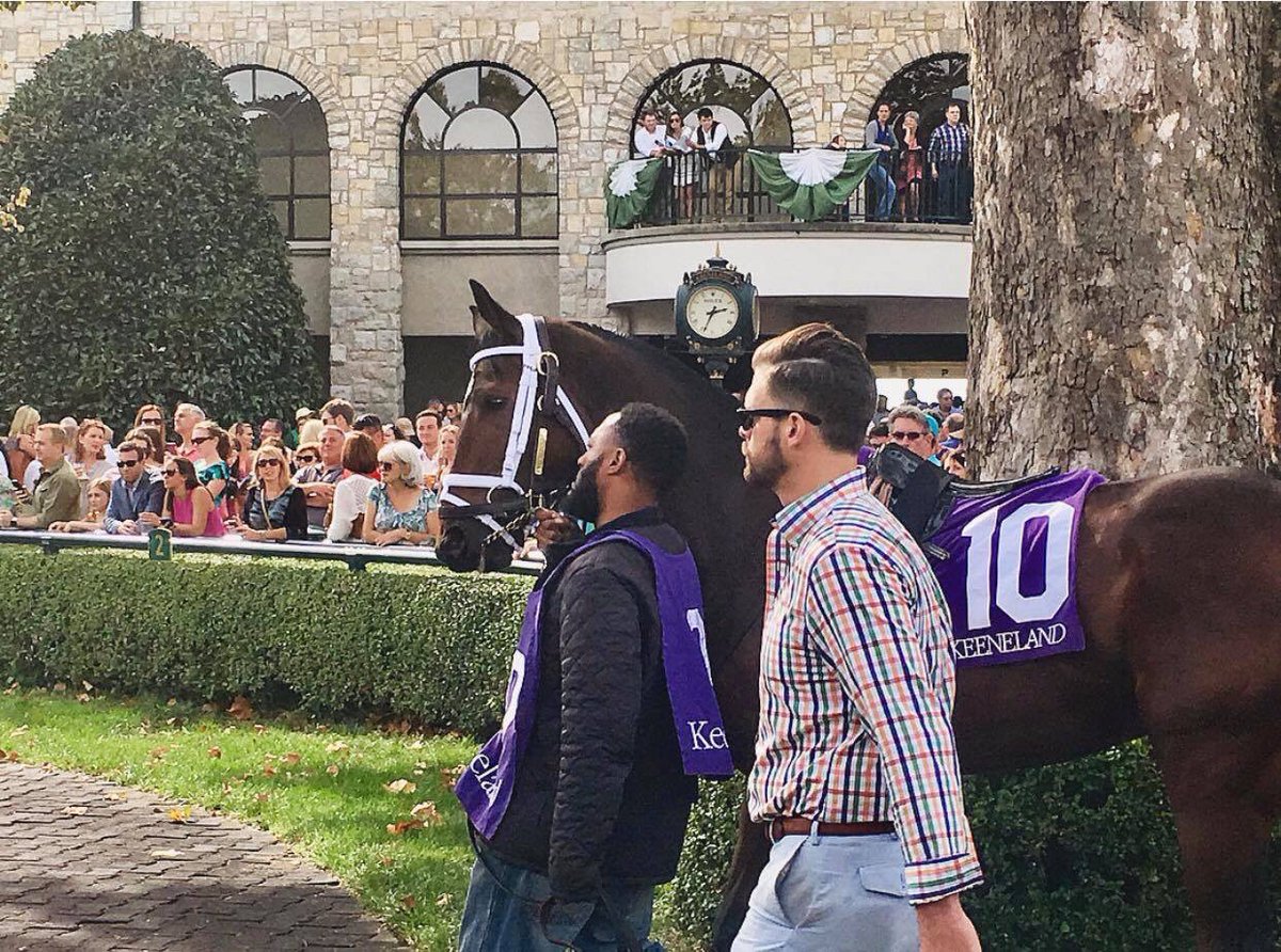 Joe Bailey tweet media