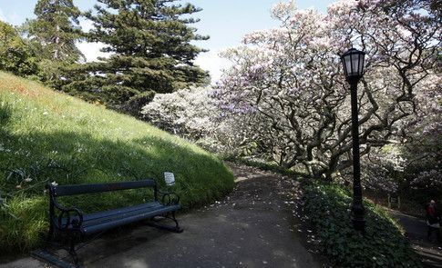 wef's tweet photo. New Zealand is planning to plant 100 million trees https://t.co/jk5PMwjHk1 #environment https://t.co/D0cEk0zMz9