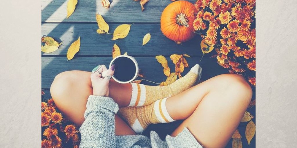 We've got that cozy fall feeling #LazySunday