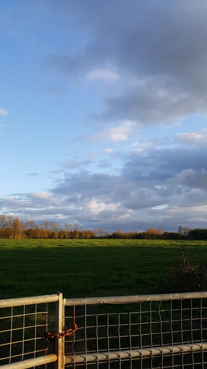 Hadlow_Heart's tweet photo. Sunny Autumn evening #Hadlow access trail. What a fabulous place to live. ❤ https://t.co/gD82uXvP3O