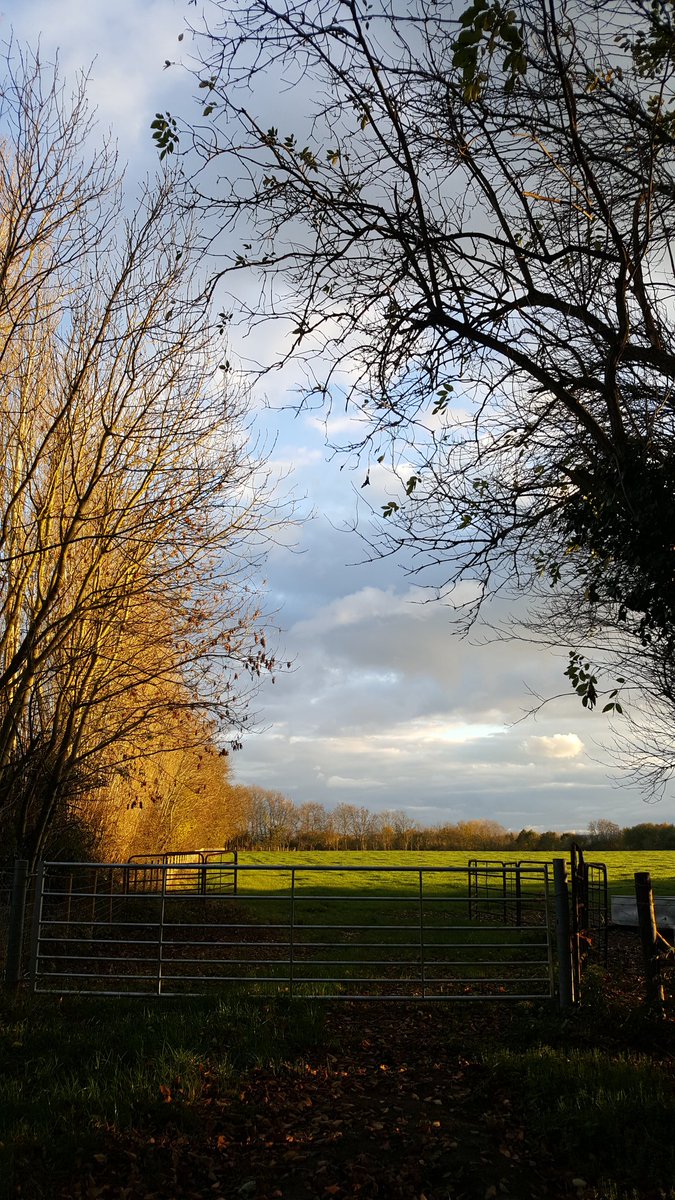 Hadlow_Heart's tweet photo. Sunny Autumn evening #Hadlow access trail. What a fabulous place to live. ❤ https://t.co/gD82uXvP3O