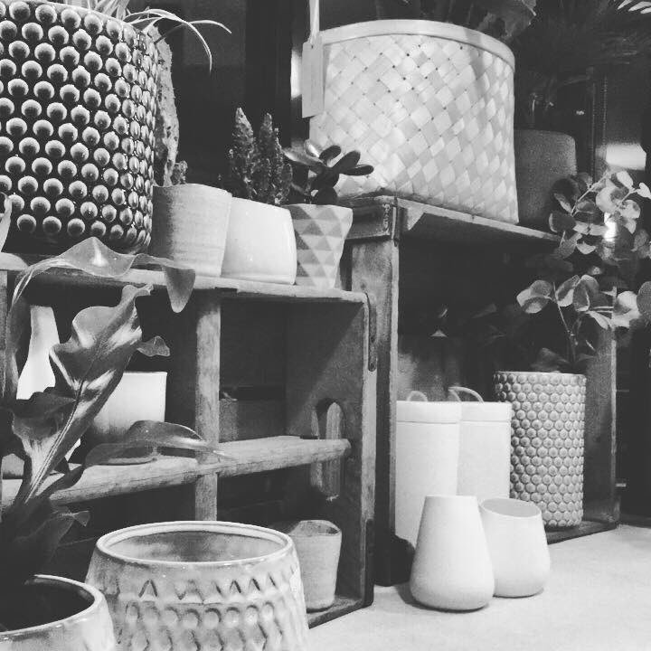 bwroath's tweet photo. Join us at our Autumn open house on 7.11.17 at 7pm in @TheCornerRoath with fizz, shopping &amp; mingle with @Lisavalhome @penylanpreserve +more https://t.co/W33XRdFlkl