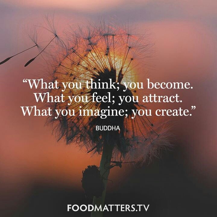 szulc_kamilaDR's tweet photo. Create the best version of yourself ;) #DMP2017-2018 #mind #body https://t.co/6BcPuGcrS7