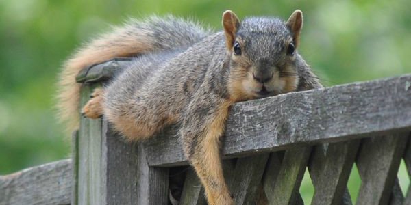 Still On the Fence?  Only one more bootcamp this year Nov. 27 - Dec. 8.  We still have room.  Limited to 4 men.   BlueTigerRecovery.com