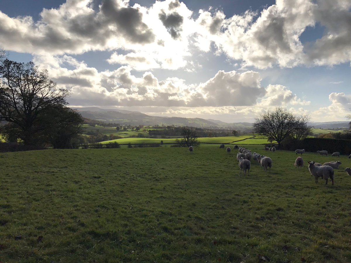 nickmuk's tweet photo. Autumn arrives in the valley above Hay-on-Wye #autumnlight #wales #weekendinwales https://t.co/a6JiUXJdDx