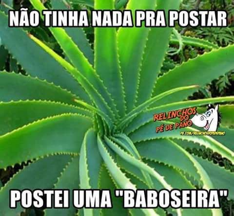 Rodrigo Garcia (@rodrigo_afg) on Twitter photo 