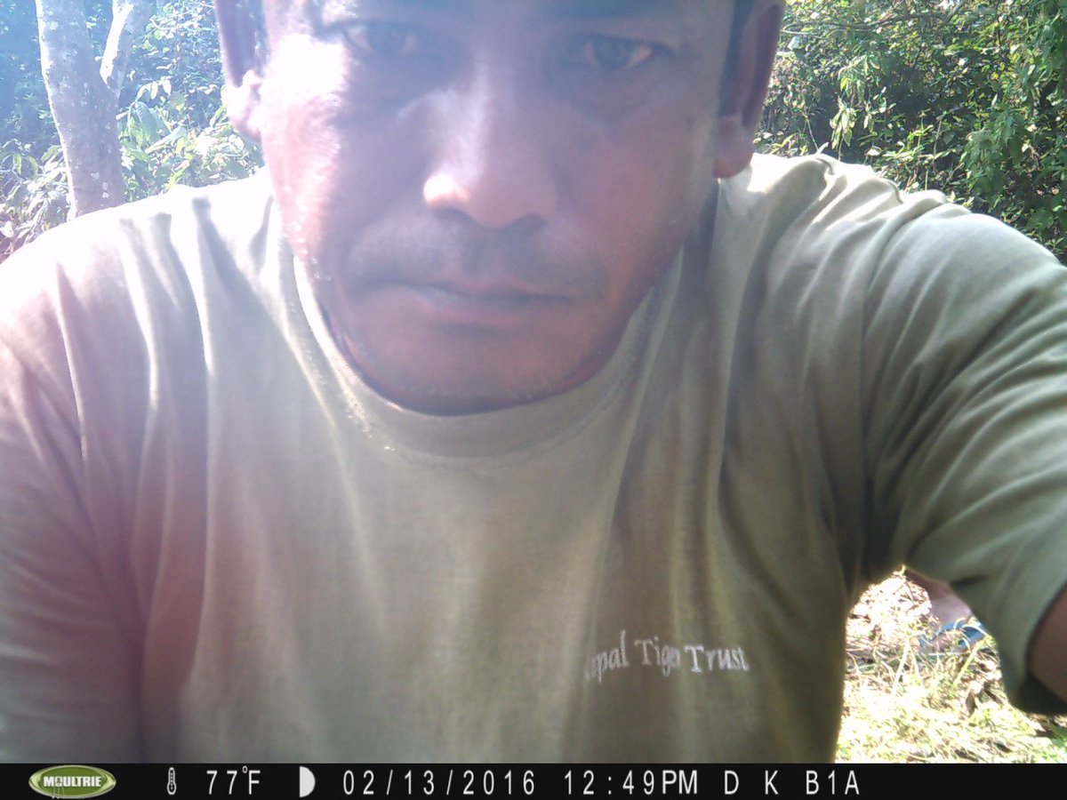 shresthaprakash's tweet photo. #Tigertracking in #chitwanNationalpark #NTT https://t.co/FaR1r2R2Du