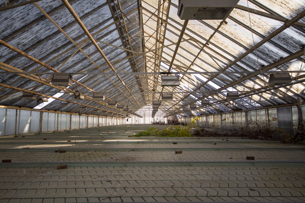 NordicUrbex's tweet photo. #urbex #urbexnorway #nordicurbex #abandoned #greenhouse #forfall #forlatt #drivhus @KeithIsHereYT @WorldAbandoned @abandonedspaces https://t.co/GT6yQ6SxmQ