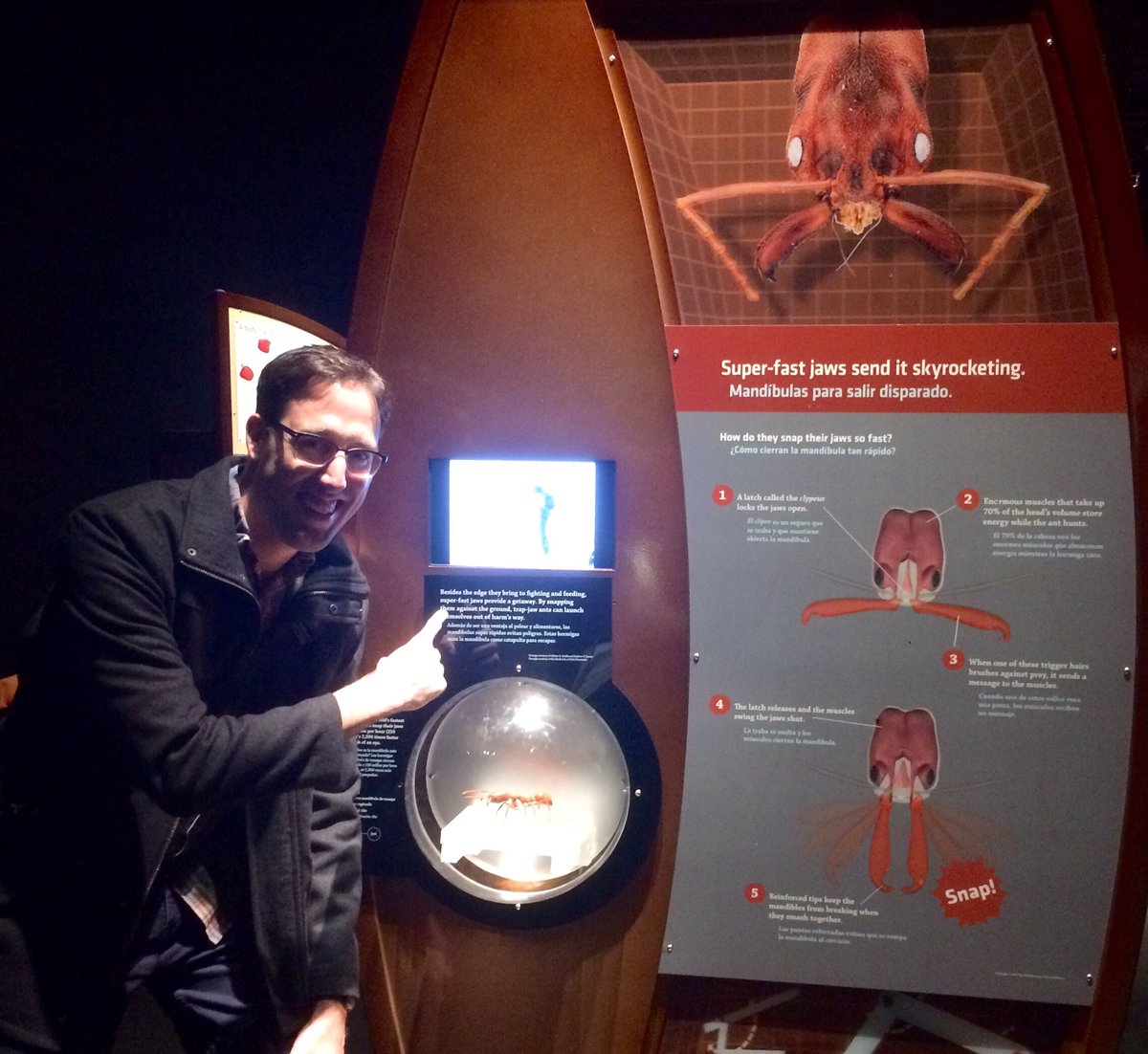 DrAdrianSmith's tweet image. Happy #EntSoc17 coincidence getting to see my research on exhibit @DenverMuseumNS