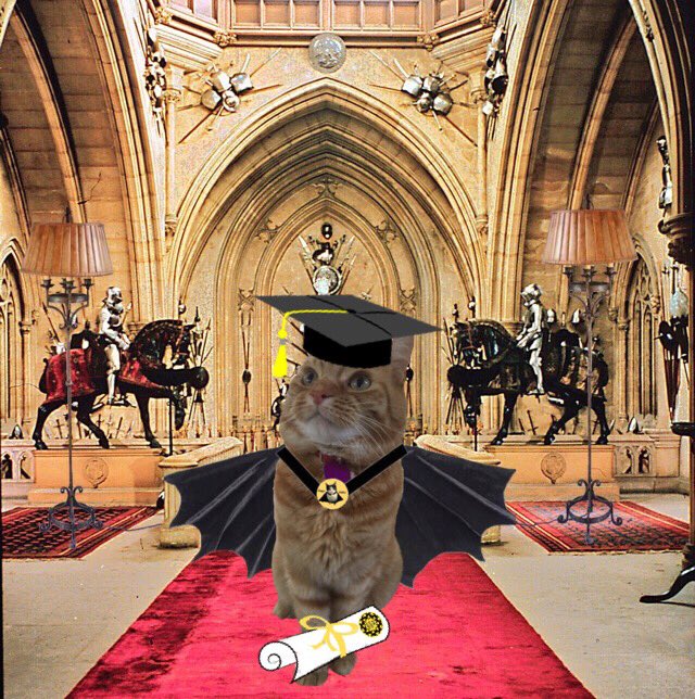You look great Alfie!! Concatualtions!!! <a href="/AlfuscoPants/">Alfie ❤️RIPCoco😿</a> 😸😸😸😸🎓🎓🎓🎓🎓 #slayerschoolgrad