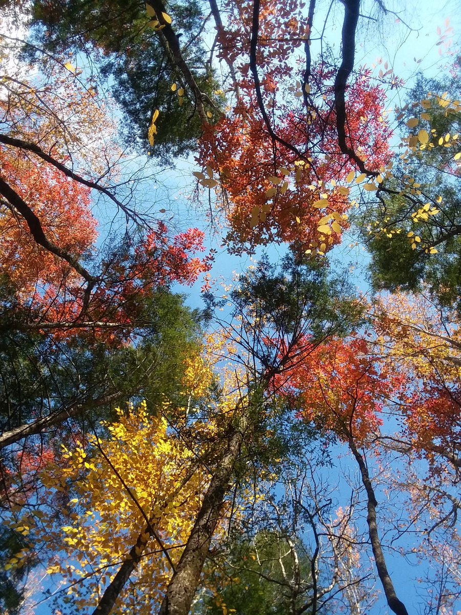 MrDavidPease's tweet photo. @wbir https://t.co/FrpyCOT49a