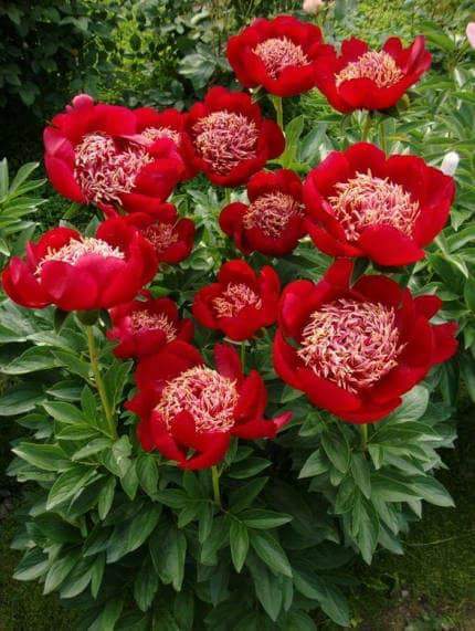 지나놓고 보면 모든 일이 애잔한 추억이다