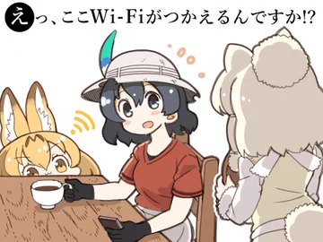 画像 / Picture