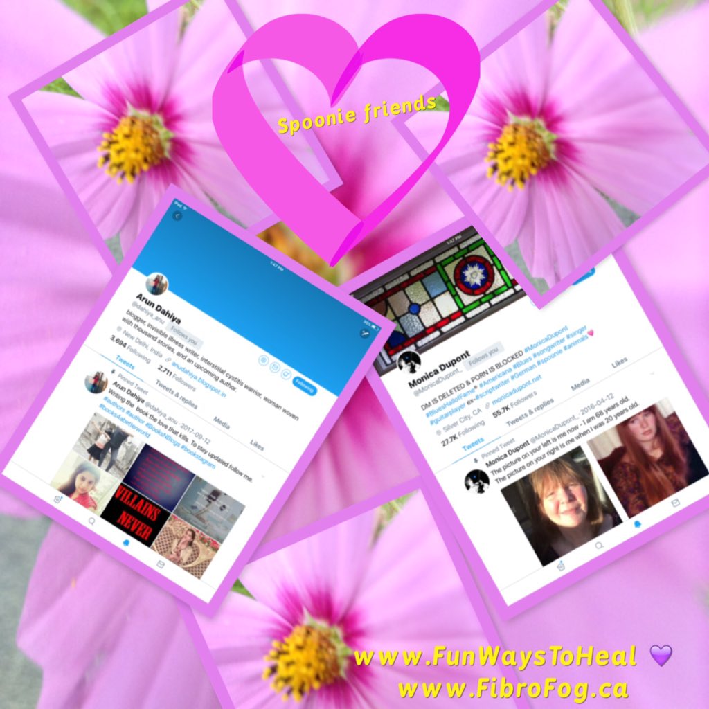 Shelley tweet media