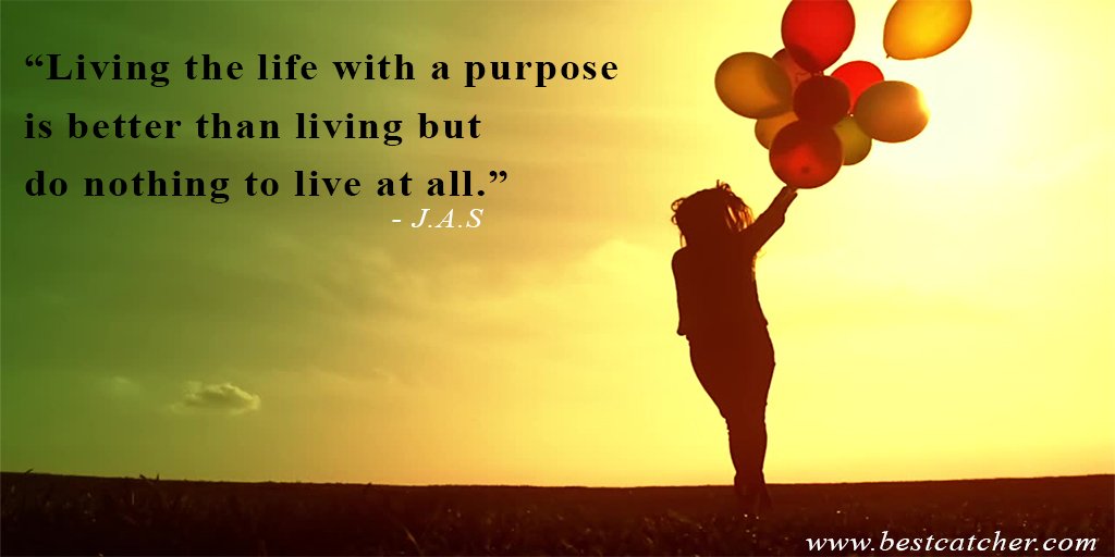 bestcatcher101's tweet photo. “Living the life with a purpose is better than living but do nothing to live at all.”
#bestcatcher #life #purpose #better #living #donothing https://t.co/xzkEmkJWyY