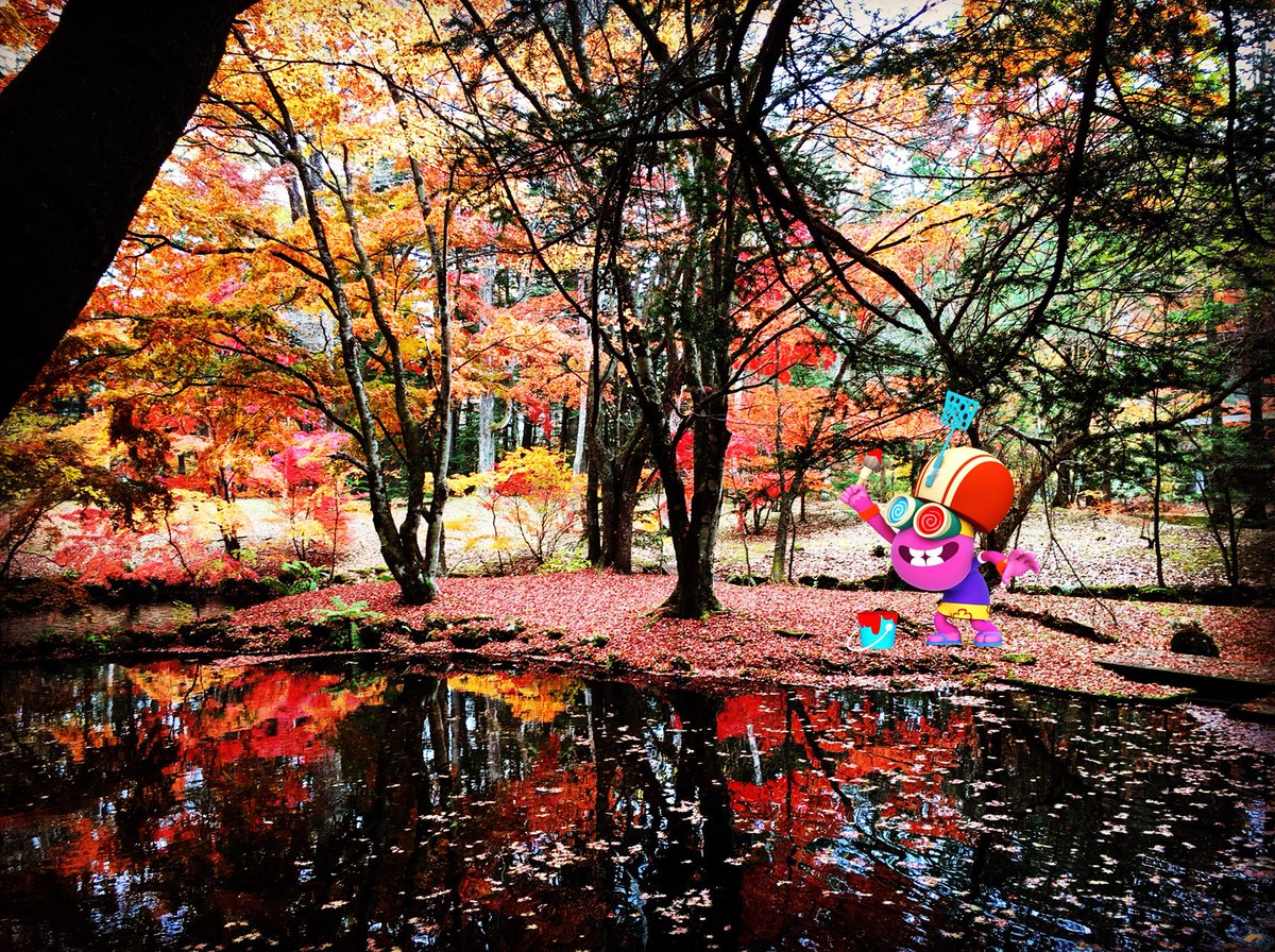 ジェリージャム ぽこよ 公式 みて きれいでしょ もっともっと葉っぱを赤く塗るぞぉ Autumn 秋 紅葉 日本の秋 Japaneseautumn アニメ 子供番組 キッズ番組 English 英語 塗り絵