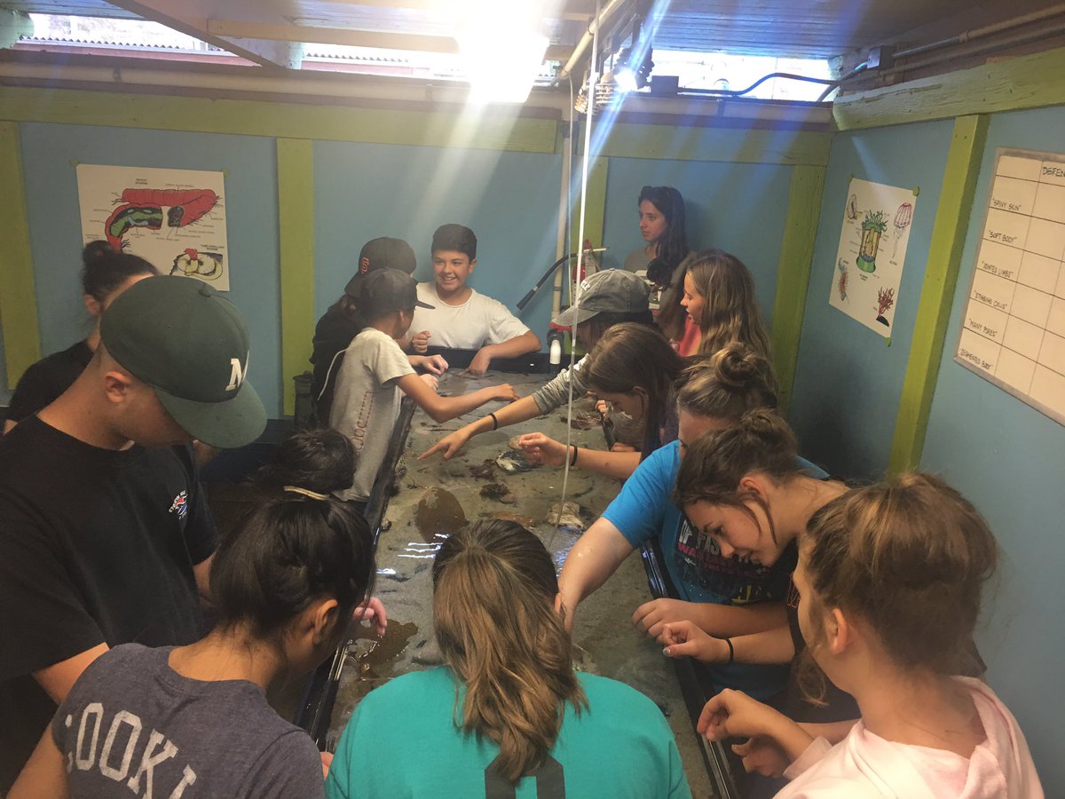 Mrslokteff's tweet photo. Took 39 8th graders to Catalina Island to experience new things and learn about the beautiful marine life. @LUSDLodi #lodimiddlescience https://t.co/huZrX3Q9Cn