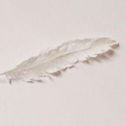 dioxnne's tweet image. ✧— Dιoɴe⎰Διωνη.

                                 -` dιvιɴιтy ɢoddeѕѕ. ´-