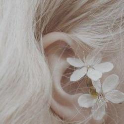 dioxnne's tweet image. ✧— Dιoɴe⎰Διωνη.

                                 -` dιvιɴιтy ɢoddeѕѕ. ´-