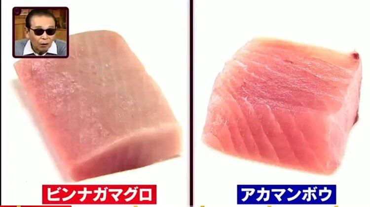 とみもとたつのり 富本龍徳 Tatsunori Tomimoto على تويتر 知り合いがお魚解説者としてタモリ倶楽部に出演しました 爆笑に次ぐ爆笑の回でした 僕らが普段口にしている魚や貝はそっくりさんの方かもしれません 知り合いはさかなクンではありません T Co とみもとたつのり 富本龍徳 Tatsunori Tomimoto على تويتر 知り合いがお魚解説者としてタモリ倶楽部に出演しました 爆笑に次ぐ爆笑の回でした 僕らが普段口にしている魚や貝はそっくりさんの方かもしれません 知り合いはさかなクンではありません T Co