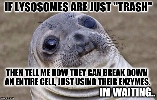 _lysosomes_'s tweet photo. I mean im just saying 😬🤷
 #TWOrganelleVote2017 https://t.co/2ehKE4WPOr
