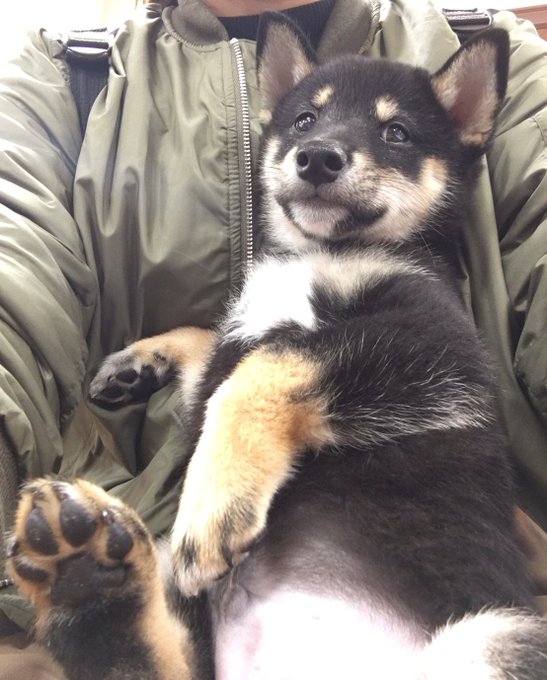 きょうこ めっちゃ可愛い Powered By Line