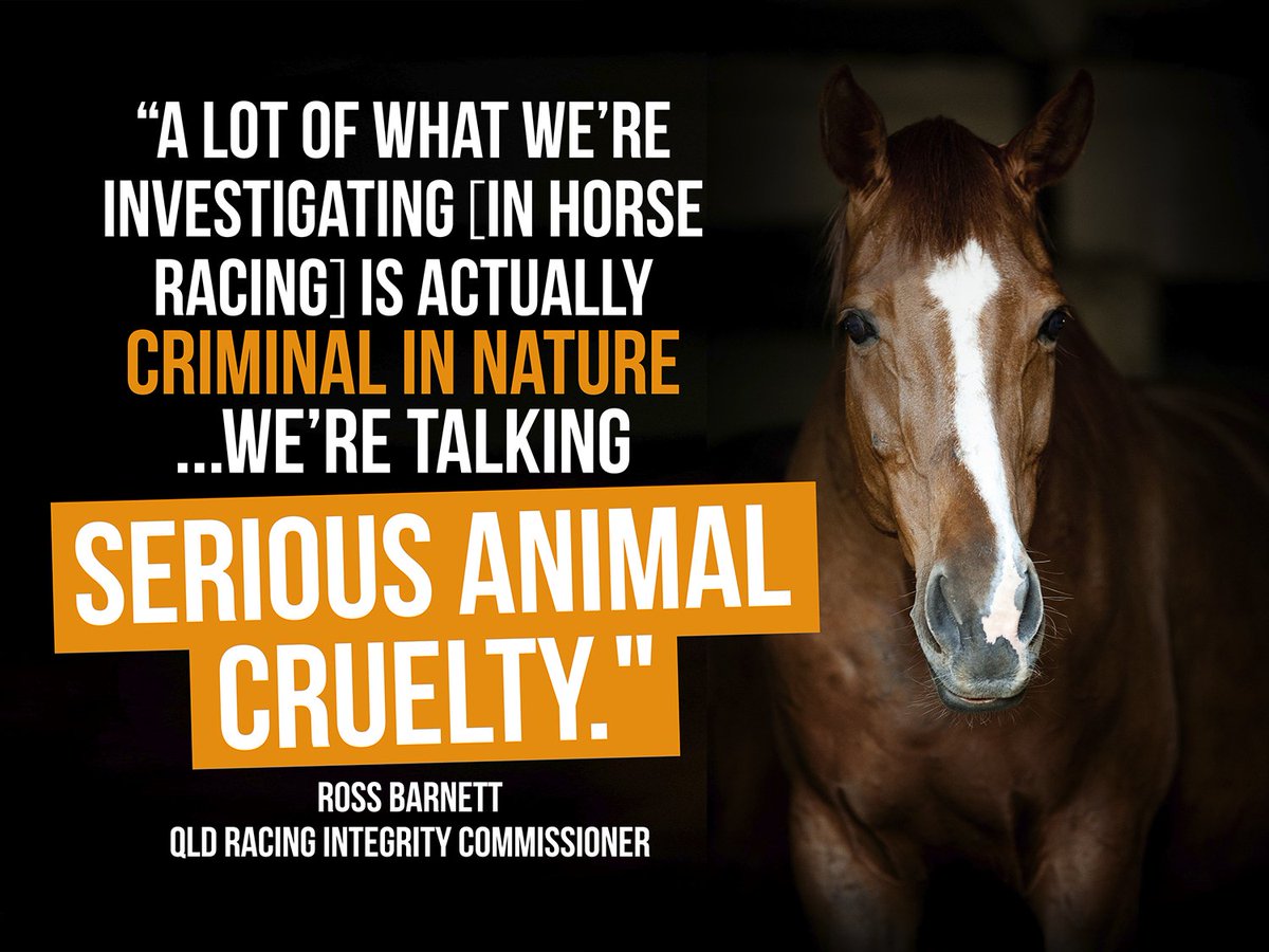 AnimalsAus's tweet photo. Horse racing, greyhound racing… whenever animals are exploited for gambling $$ it's the same story.

https://t.co/hMrVEJNcLJ

#MelbourneCup https://t.co/Udjw68E6Ig