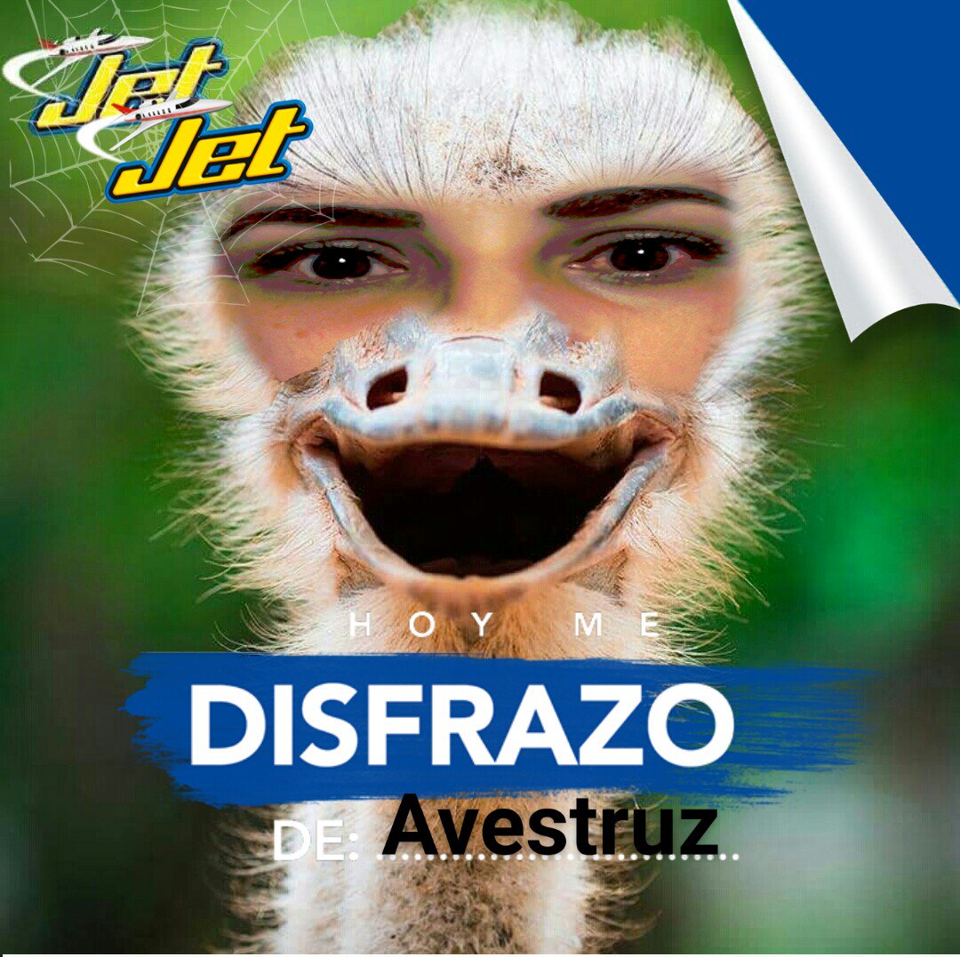 lilo_1001's tweet photo. @chocolatesjet #albumjet #avestruz espero les guste 😍😘😘 https://t.co/oMqtwSRKnG