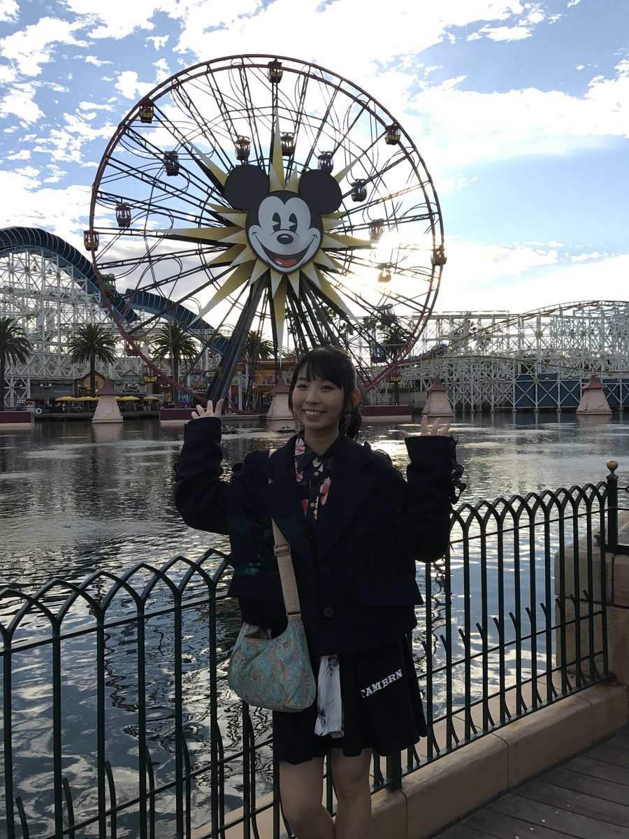 ディズニーアメリカ カリフォルニア と日本 東京 の違いまとめ ディズニー裏マニア