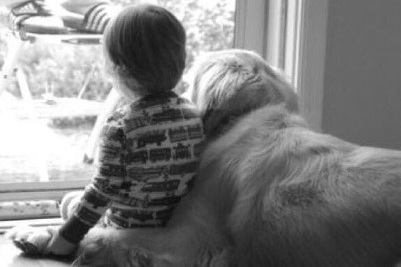 CoolXDogs's tweet photo. Not every person knows how to love a dog, but every dog knows how to love a person.

#learnfromdogs #dogs https://t.co/uDMYEss1DI