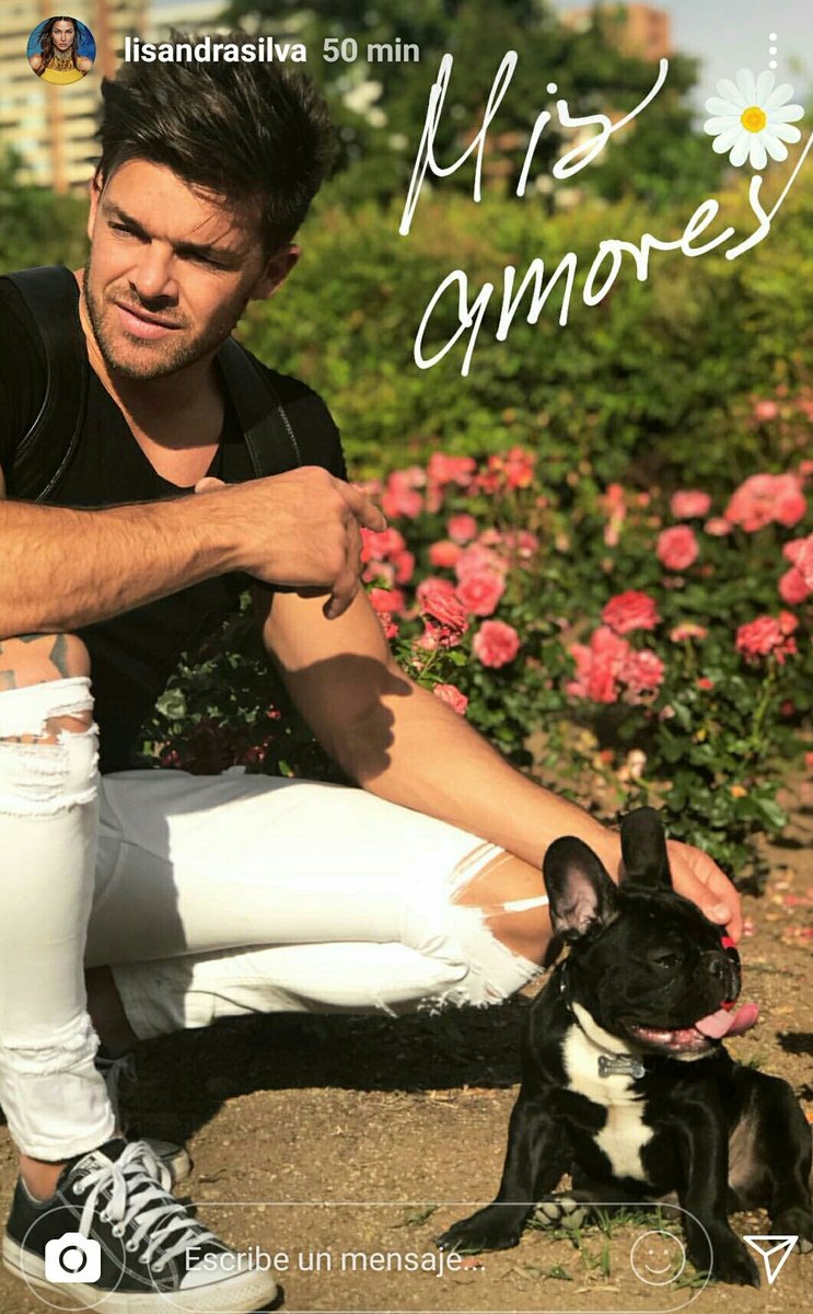 LeandroGPennaM's tweet photo. #Familia #lisandrasilva #LeandroPenna #Lilo 🐕#Sullivan🐶 😍😍 #Santiago #Chile 👫 https://t.co/jfdcMxGJKf