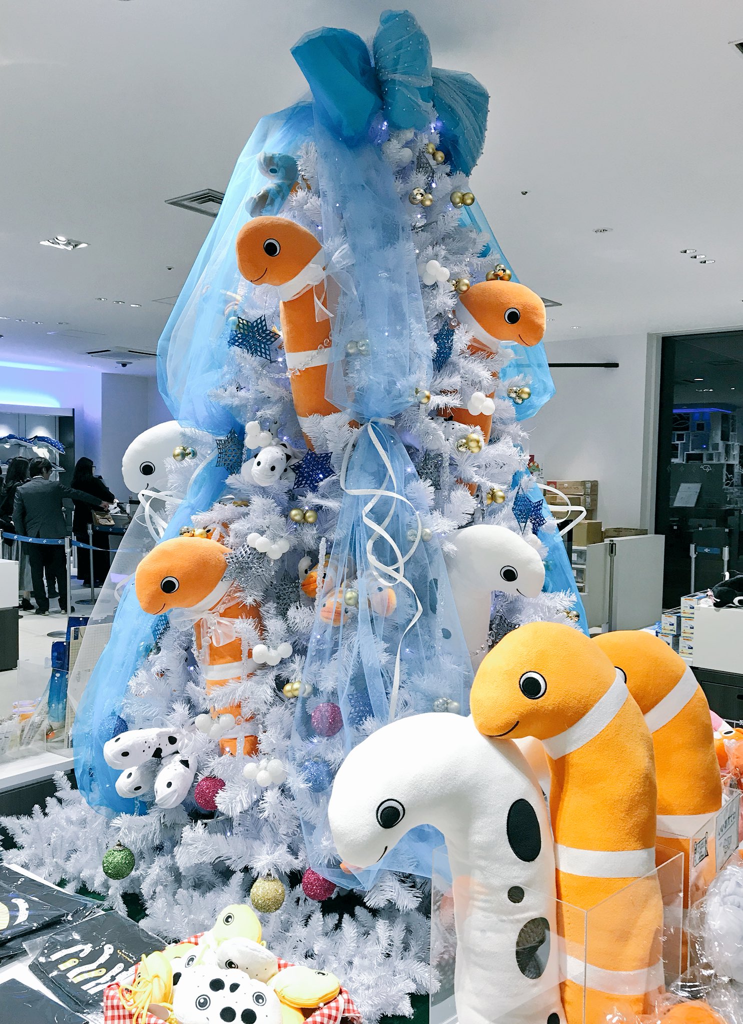 すみだ水族館 公式 V Twitter 今月からすみだ水族館のショップに毎年恒例チンアナゴツリーが登場 今年はきらきらとした水の中をイメージしてブルーのリボンでデコレーションしています チンアナゴの日 クリスマス クリスマスツリー T Co Jzksvymwmr