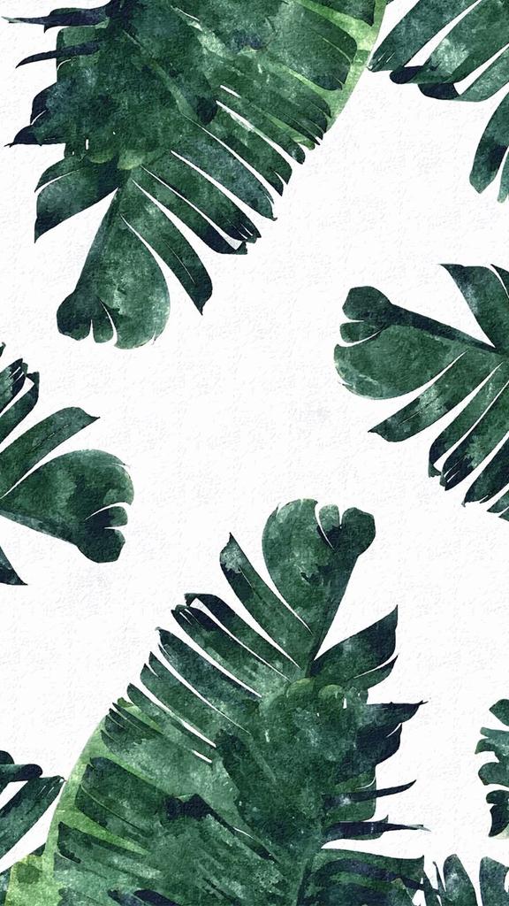 agustinjustin_'s tweet photo. kinda lovin' this theme alot! 🍍🌴 #tropical #green #mondaycardio https://t.co/kqS31DSjli