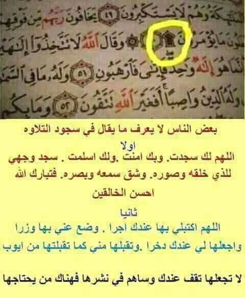 ahmdmohsen84 tweet picture