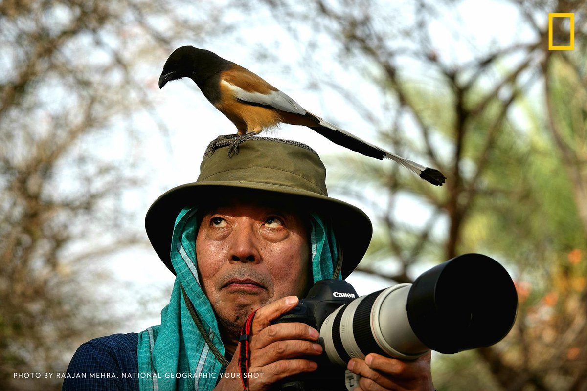 Бывший фотограф. Фотографы National Geographic. National Geographic журналисты. Фотограф живой природы. Оператор National Geographic.