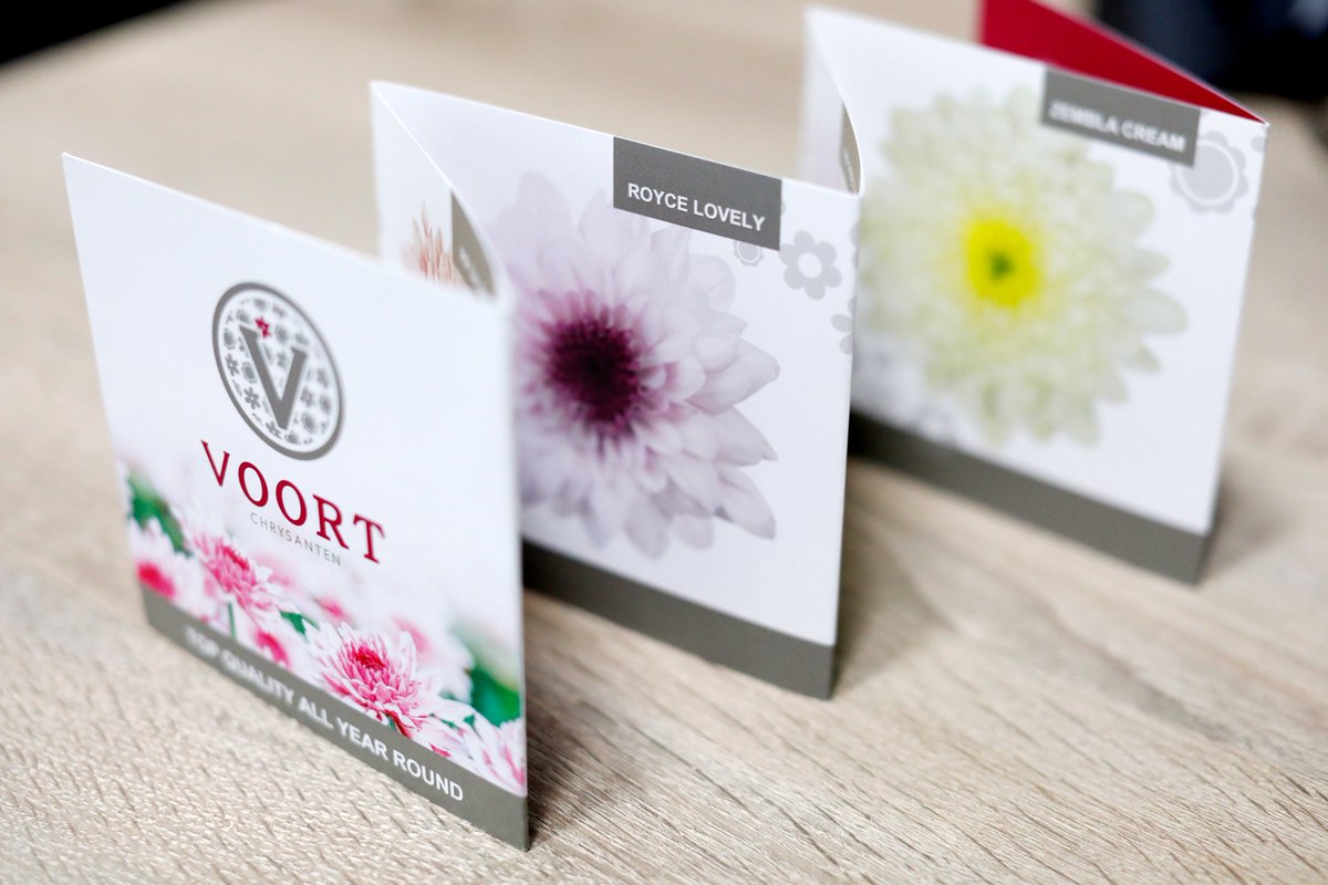 Marck Reclame tweet media