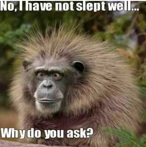 StratumC's tweet photo. You're not alone in suffering from #insomnia during #perimenopause &amp; #menopause! Oh the joys! #StratumC girls with you on this..... https://t.co/HddIGO5dd6