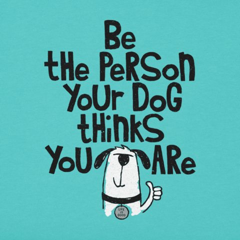 #motivationmonday #goodypaws #dogsofinstagram #dogsarelife #dogsofbury #dogsofmanchester #mondaygoal #dogsbeforepeople #mydogsmybestfriend 🐾