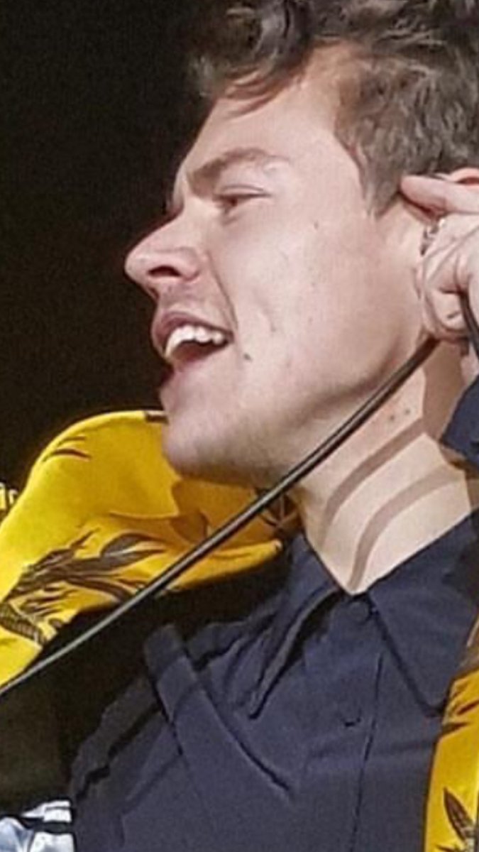 TheHarry411's tweet photo. #UPDATE Harry seems to be letting his facial hair grow for No Shave November. https://t.co/edqi8nFbrS