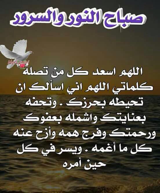 al_haidarea's tweet photo. صباح الخير https://t.co/pL5J0UHDkW