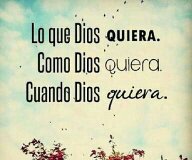 lejan_dra's tweet image. Hoy #yodeclaro
Que mi fe no está puesta en mis propias palabras o en mis propias habilidades;
MI FE esta puesta en...