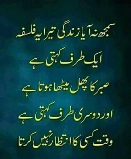 Altafhu39460885's tweet photo. https://t.co/M4MayOVxtW