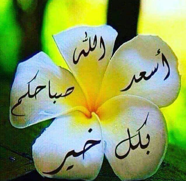 مَاَاَجَمَلَ اَلَصَبَاَحَ حَيَنَ تَهَدَيَ دُعَاَءَ جَمَبَلَاً لَأطَيَبَ 
اَلَاَحَبَةَ........🌼