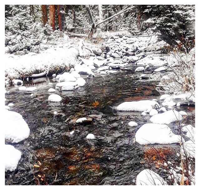 MichelleAlksne's tweet photo. #snow #comoxvalley #november #2017 https://t.co/rLE7RxcDmO