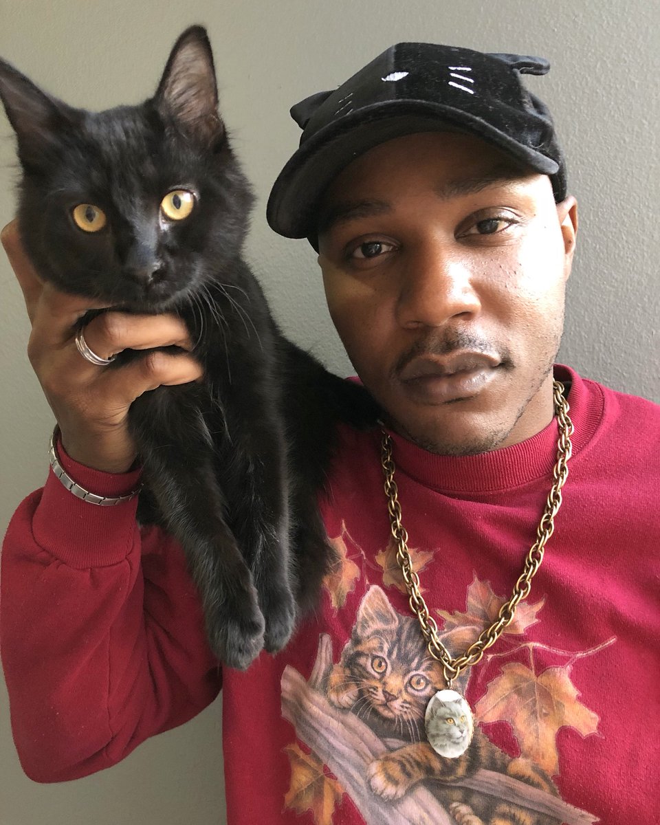 iammoshow's tweet photo. Just two black cats trying to slide through to bless your timeline and put a smile on your face. Retweet this if you respect that 🖤 https://t.co/n5yAen5Qyd