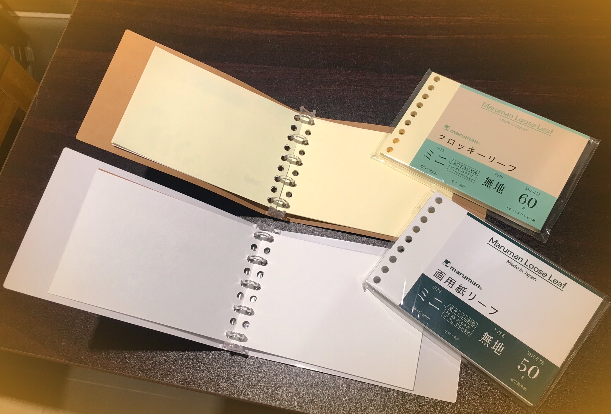 銀座 伊東屋 マルマンさん最高 スケッチブックの紙が クロッキーの紙がルーズリーフになったなんて 且つバインダーもあるだなんて 夢が拡がるスケッチバインダー おすすめはミニサイズ ポケットや小さいバッグに忍ばせたい K Itoya4階 T