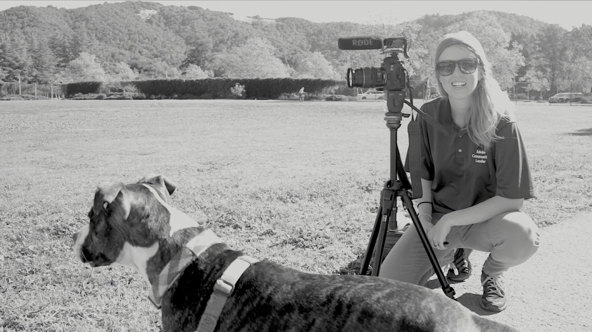 premiere_gal's tweet photo. Out shooting with @CanonUSA Mark IV & 🐶 today. I ❤️ #CanonLog, dynamic range is 👌 The dog is alright too.😄 Review of the camera coming soon! https://t.co/8XYzFCrgJp